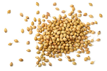 closeup of dried coriander seeds isolated on white, top view