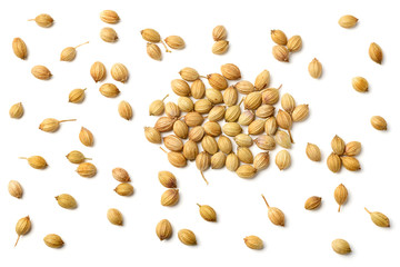 closeup of dried coriander seeds isolated on white, top view
