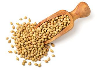 dried coriander seeds in the olive wood scoop, isolated on white, top view