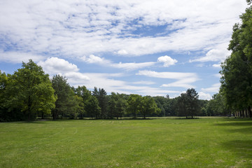 Grüne Wiese im Park