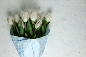 A bouquet of white tulips in blue wrapping paper on a white concrete background. Top view. Flat lay. Postcard for Easter, Mother's Day and Spring Holidays.