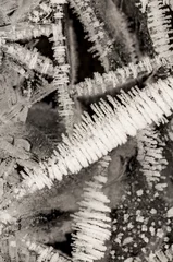 Tapeten very abstract ice structures on roads © Sebastian
