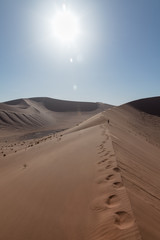 Fototapeta na wymiar Namib Dunes