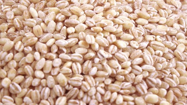 Pearl barley with pests