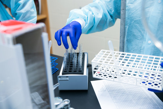 Working in Laboratory with Blue Gloves Healthcare