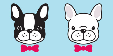 dog vector french bulldog bow tie character cartoon illustration doodle
