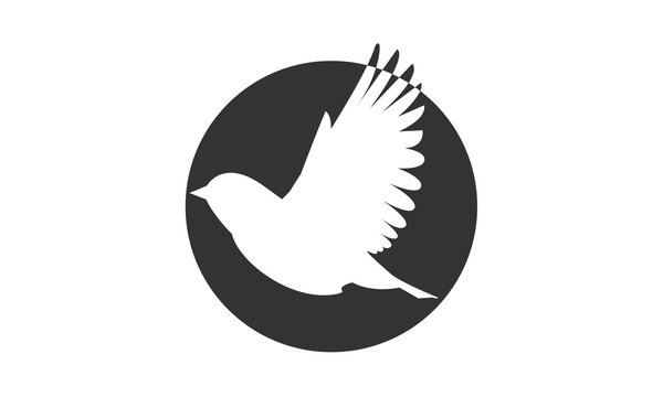 Bird Vektor Stock Photos And Royalty Free Images Vectors And Illustrations Adobe Stock