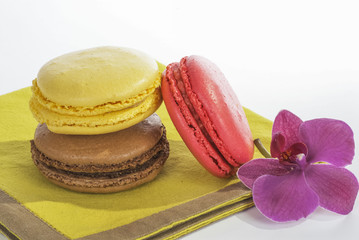 macarons en gourmandise