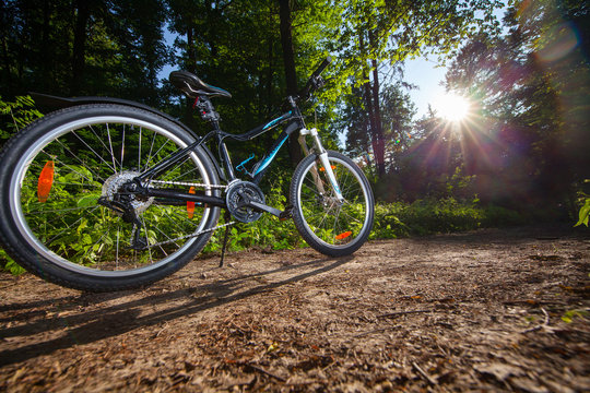 Mountain biking down hill descending fast on bicycle. View from bikers eyes.