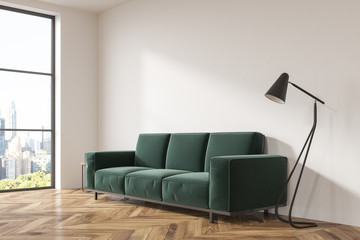 Gray living room, dark green sofa side view