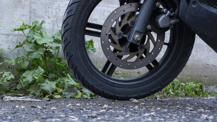 Detail of the disc brake on a small front wheel of a black scooter. Behind it is a wall with a small bush of grass. The asphalt is brecciolate.