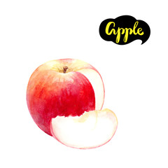 apple fruit watercolor