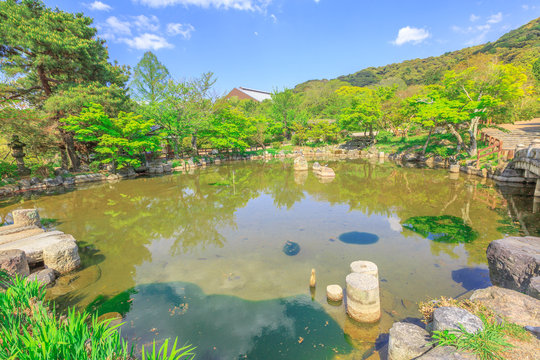 Beautiful landscape of pond in Maruyama Park, spring season with blue sky in Higashiyama District, Kyoto, Japan. Maruyama Park is Kyoto's most famous cherry-blossom viewing hanami spot.