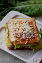 A delicious sandwich with salad and chicken. Sprinkled with cheese. A quick delicious Breakfast