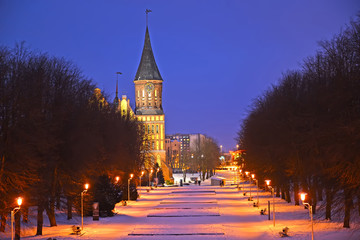 Fototapeta na wymiar Evening view of the Cathedral in the winter. Kaliningrad