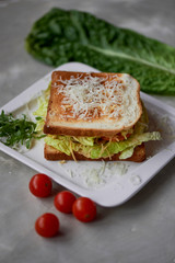 A delicious sandwich with salad and chicken. Sprinkled with cheese. A quick delicious Breakfast
