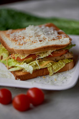 A delicious sandwich with salad and chicken. Sprinkled with cheese. A quick delicious Breakfast