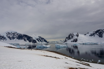 Fototapeta na wymiar Antarctic seascape with reflection