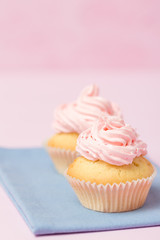 Cupcake decorated with pink buttercream on pastel pink background. Sweet beautiful cake. Vertical banner, greeting card for birthday, wedding, women's day. Close up photography. Selective focus