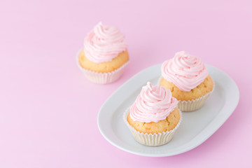 Cupcake decorated with pink and violet buttercream on pastel pink background. Sweet beautiful cake. Horizontal banner, greeting card for birthday, wedding. Close up photography. Selective focus