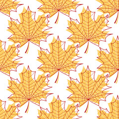 Obraz premium Seamless vector texture from beautiful graceful maple leaves. Autumn leaf fall