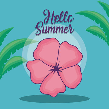 Hello summer design with tropical flower and palms leaves over blue background, colorful design vector illustration