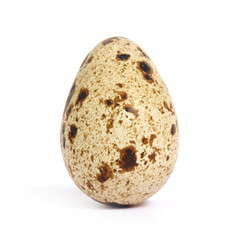 Obraz premium Quail egg isolated on white background