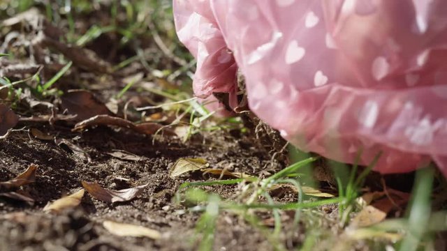 picking up dog poop in the yard grass