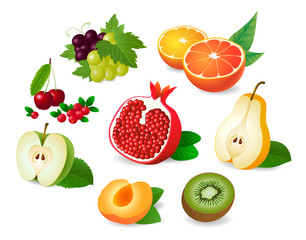 Realistic fruit halves. Apple, kiwi, peach, pear, grapes, orange, grapefruit, pomegranate, cherry, cranberry. Vector illustration.