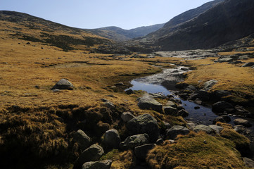 Quellbach in der Gipfelregion der Sierra de Gredos