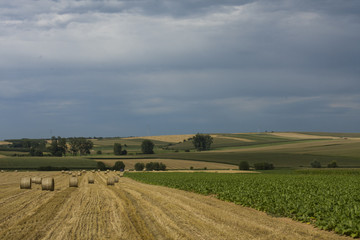 Fototapeta na wymiar Thunderstorm sky above fields in Alsace France.