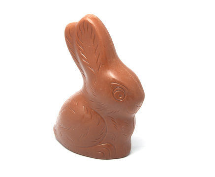 Chocolate Rabbit Isolated On The White