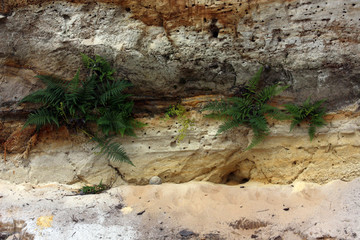 Sand cliff Fraser Island