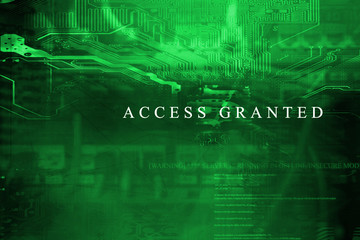 Access granted to server system technology