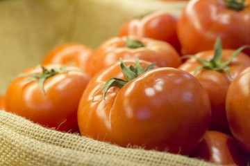 Red Tomatoes