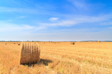 Fototapeta premium Golden straw stubble field in autumn