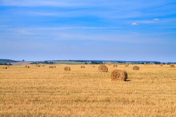 Golden straw stubble field in autumn