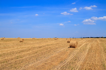 Fototapeta na wymiar Golden straw stubble field in autumn