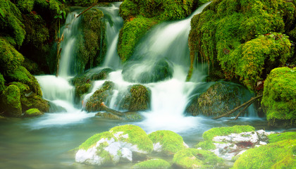 Mountain stream among the mossy stones