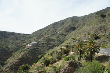 Fototapeta na wymiar Masca canyon in Tenerife