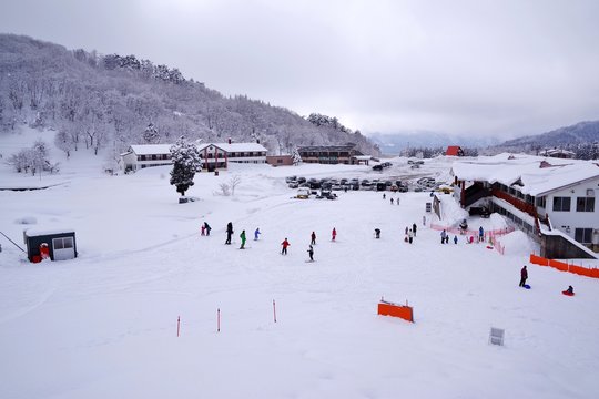 スキー場でスキーの練習をする人たち