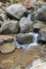 Naklejka na ściany i meble Small stream and rocks at spring forest