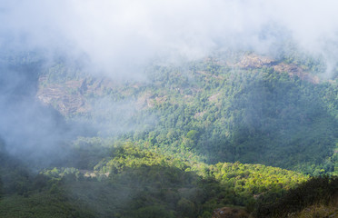 view of tropical forest, Inthanon National Park, Thailand