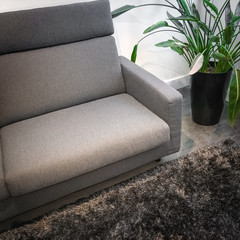 Detail of a living room with gray sofa and plant