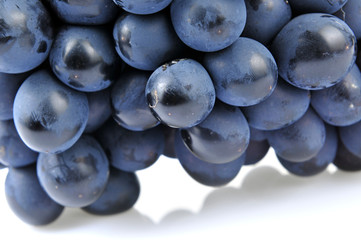 Grapes in white background