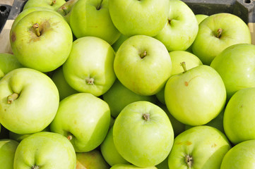 Put the apple on the market