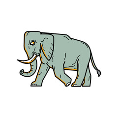 Mono line illustration of an African elephant,  African bush or forest elephant walking viewed from side done in monoline style.
