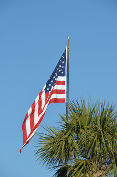 Vertical photo of an American flag waving above a palm tree against a blue sky