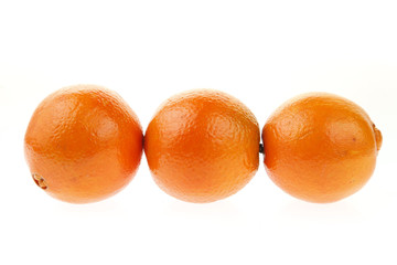 The oranges on a white background