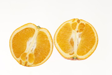The oranges on a white background